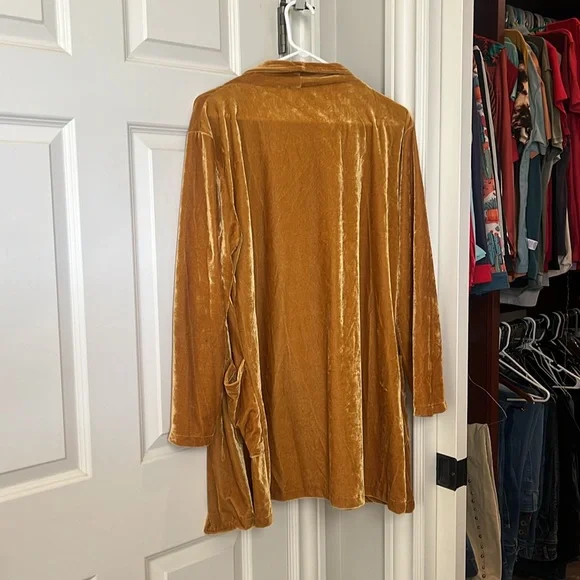 Gold velvet jacket - Picture 2 of 2